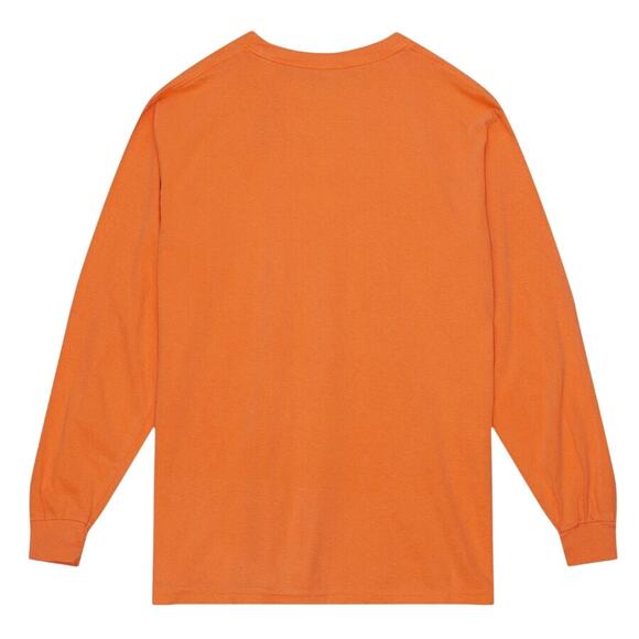 NWT! Mitchell & Ness Florida A&M FAMU Rattlers Homecoming Arch LS - Size L - Picture 2 of 8